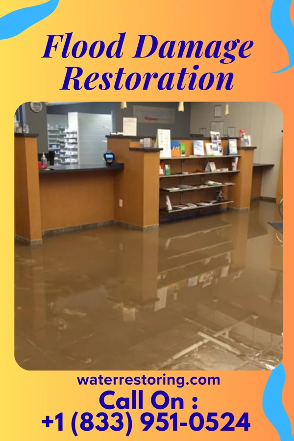 Flood Damage Restoration in Woodson, IL