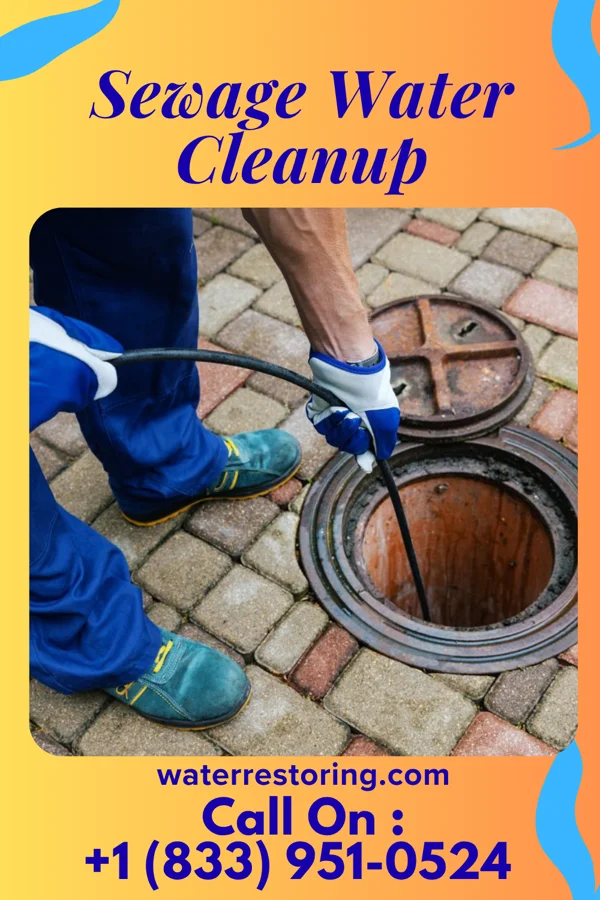 Sewage Water Cleanup in Woodson, IL
